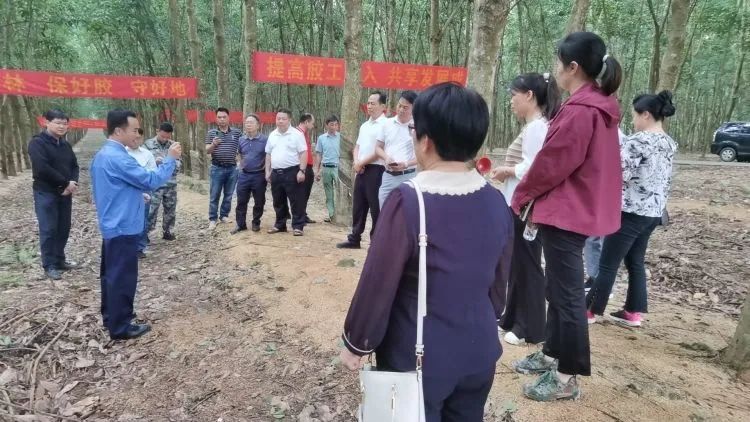 全國割膠冠軍張健給各單位學員做標準化膠園建設及割膠技術的經(jīng)驗介紹。.jpg