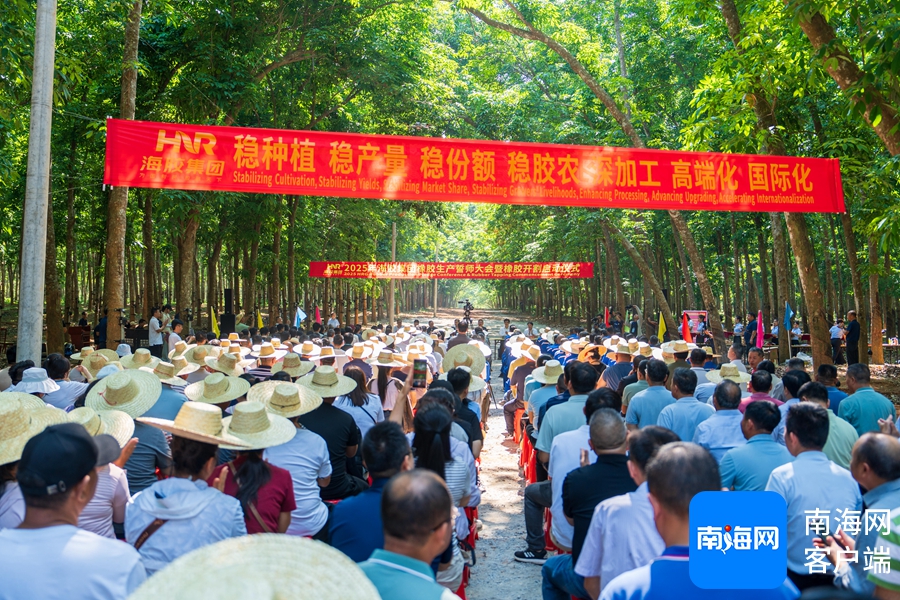 割膠上演“人機(jī)競(jìng)速” 海膠集團(tuán)舉辦2025年橡膠開割啟動(dòng)儀式